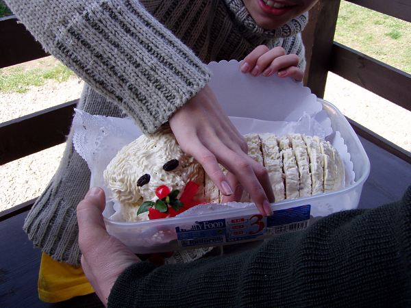 img083.jpg, 59 kB