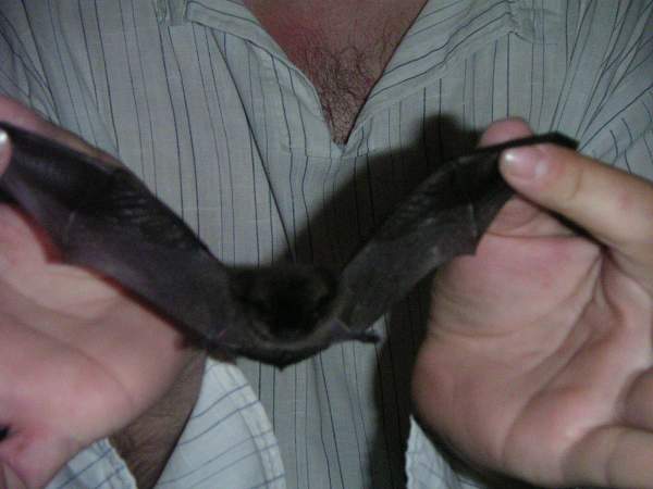 img085.jpg, 25 kB